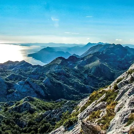 Majanko Willa Zmijavci